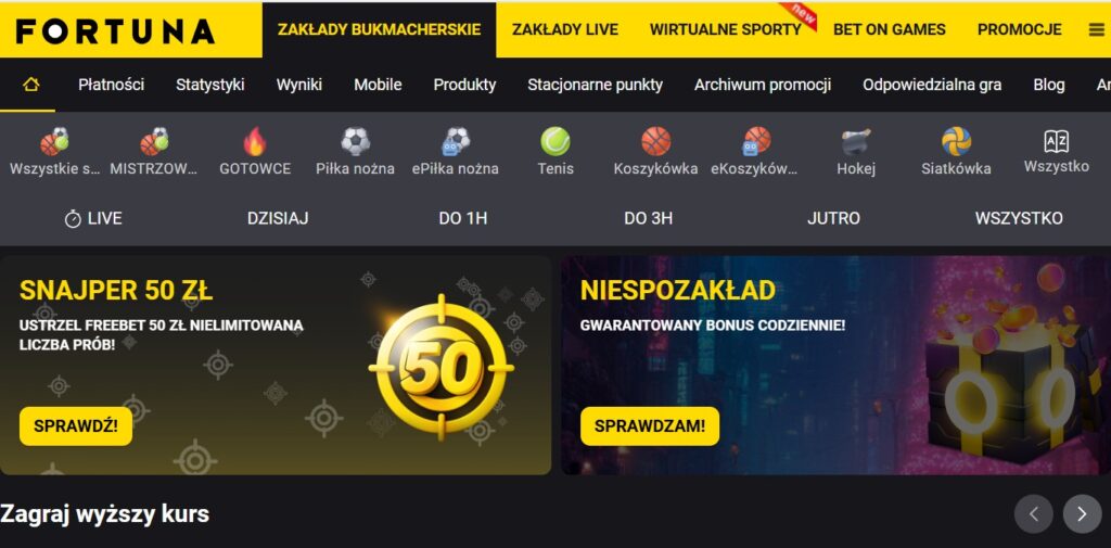 Fortuna - strona internetowa