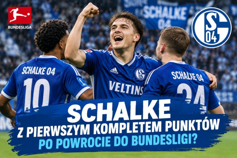 Grafika Schalke